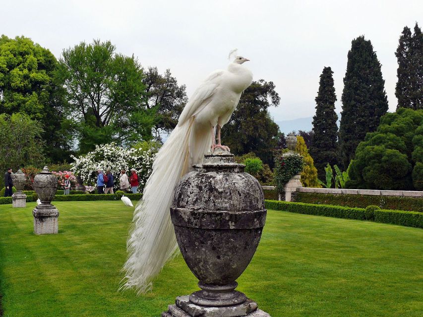 Stresa: Madre & Bella Borromean Islands Boat Trip - Price and what you really pay on the day