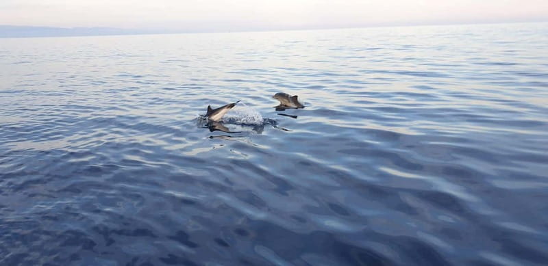 Sunset tour in search of dolphins with aperitif - Meeting at Antonio, then getting that Taormina sea start