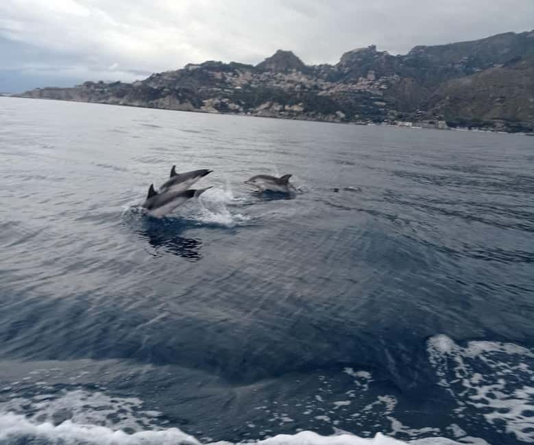 Sunset tour in search of dolphins with aperitif - Aperitif on the boat: arancini or pizza plus prosecco