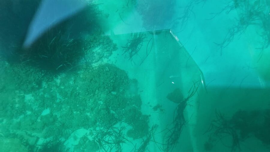 Syracuse: Coast and Sea Caves Full Transparent Boat Tour - Weather and Sea Conditions: When the Route Can Change