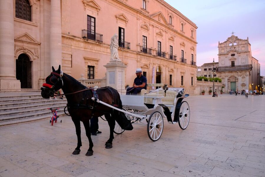 Syracuse: Highlights of Ortigia Guided Walking Tour - Price and value check for $29