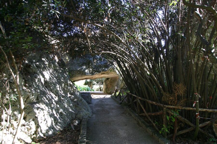 Syracuse: Neapolis Archaeological Park Small Group Tour - Key Highlights You Will Feel Immediately