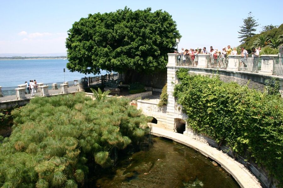 Syracuse: Ortigia Classic Walking Tour - Why Ortigia Works So Well on a Guided Walk
