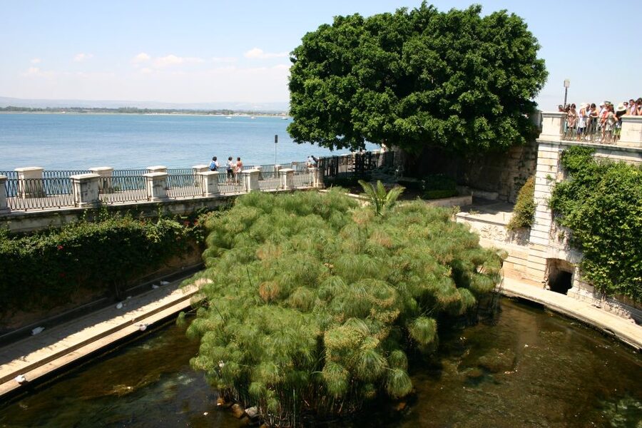 Syracuse: Ortigia Private Walking Tour - Archimedes Square and the Fountain of Diana View