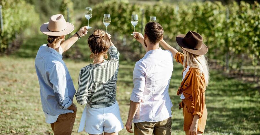 Taormina: Guided Etna Wine Tasting Half-Day Tour - A Half-Day Etna Wine Escape From Taormina