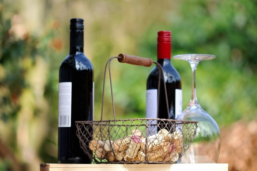Taormina: Guided Etna Wine Tasting Half-Day Tour - The Four-Wine Flight and Aperitif Platter: No Guessing Needed