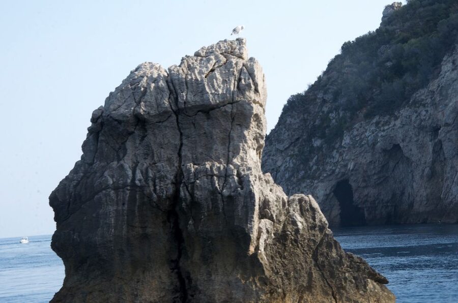 Taormina: White Lotus Tour - Isola Bella and Taormina Bay: the swim stop and the dolphin odds