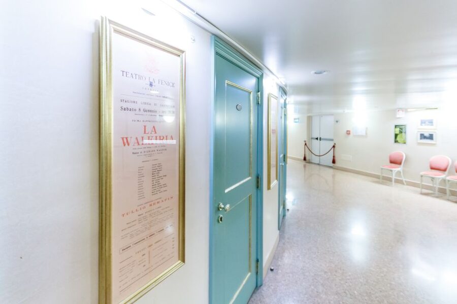 The Majestic Teatro La Fenice: Guided Tour in Venice - Acoustics, scale, and why this hall works for opera
