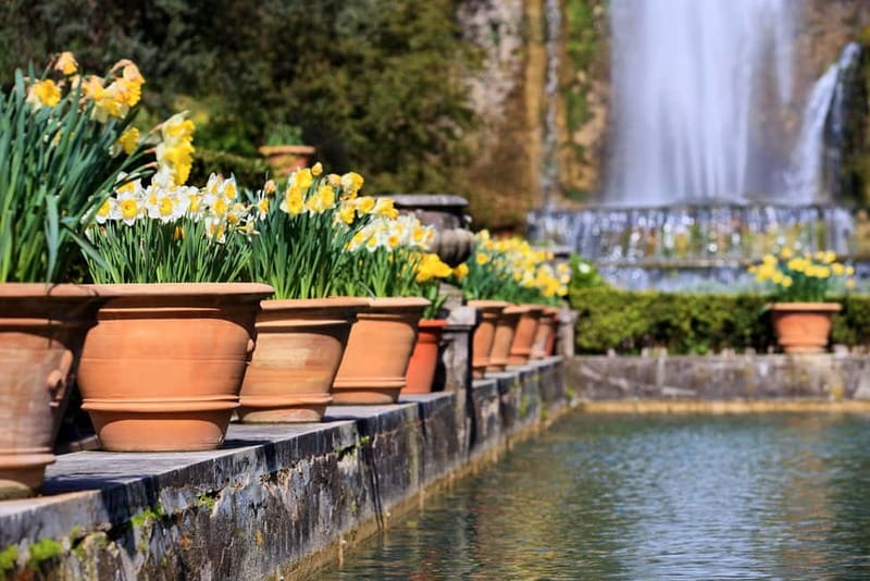 Tivoli: Villa D'Este Entry Ticket and App Audio Guide - Photos and Pemcard: turning your visit into an actual postcard
