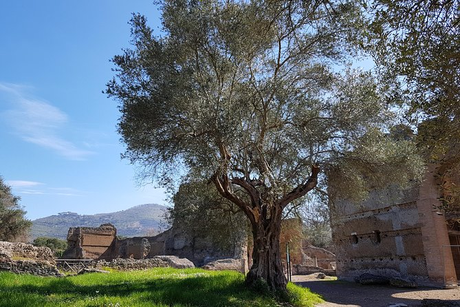 Tivoli Villas Full Day Trip From Rome with Lunch - Who this Tivoli day trip is best for