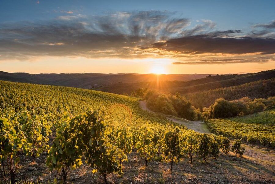 Total Immersion Wine Tour in Chianti - Entering Fattoria di Montemaggio, and why this tour feels different