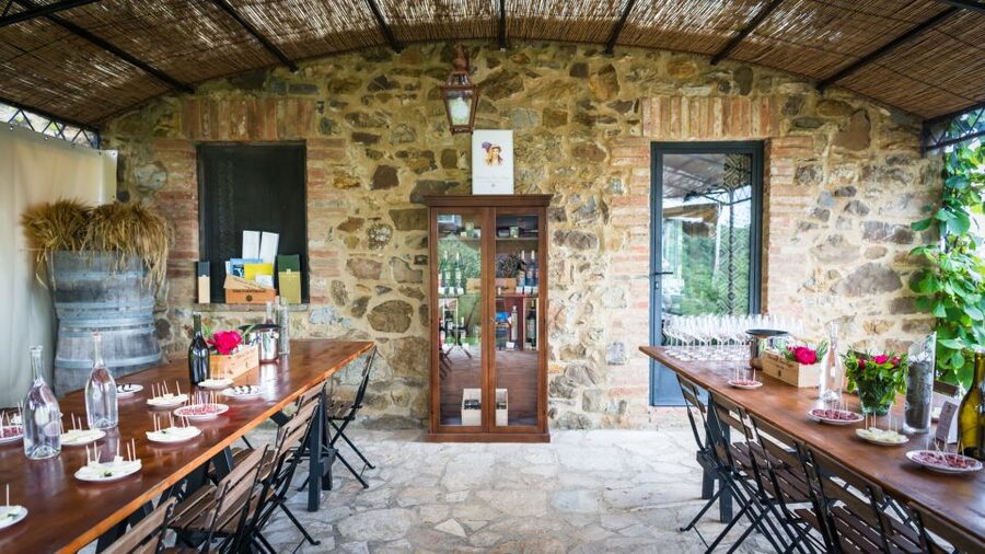 Total Immersion Wine Tour in Chianti - Cellar walkthrough: harvest, grape selection, fermentation, aging