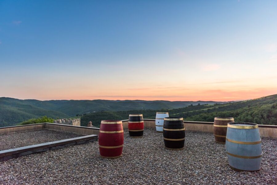 Total Immersion Wine Tour in Chianti - The tasting room mini course: learn smell, taste, and serving