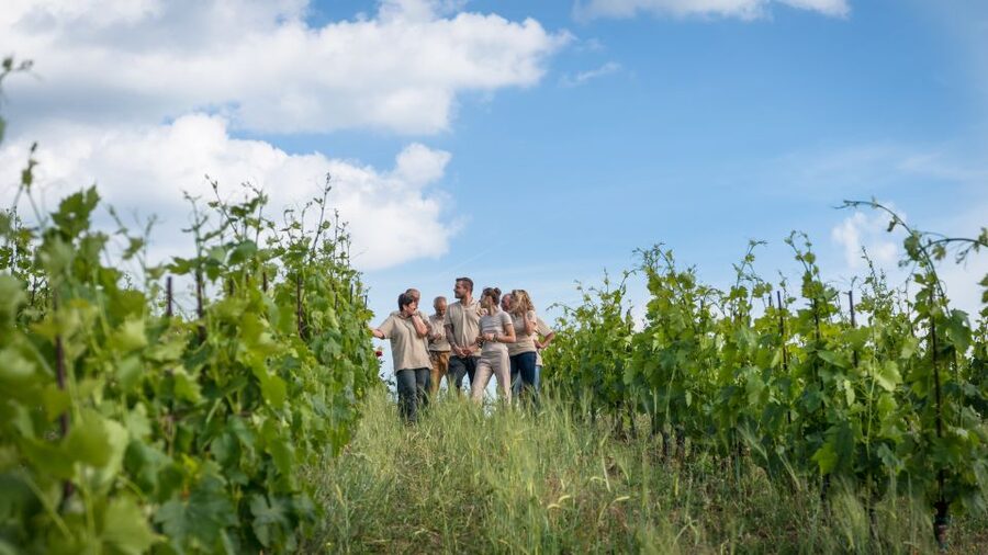 Total Immersion Wine Tour in Chianti - Optional grappa finale: why some people love the last sip
