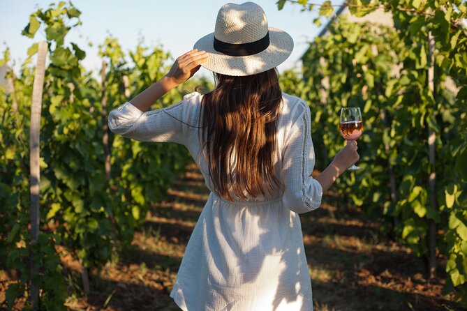 Tour Etna & Wine Tasting - Key highlights you should know before you go