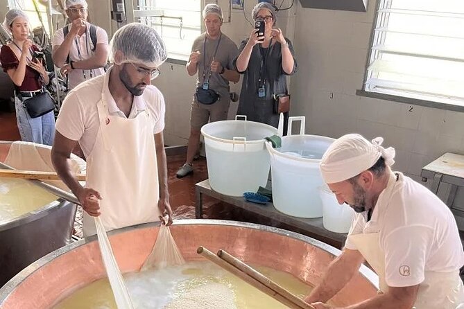 Tour Parmigiano Reggiano dairy and Parma ham - The Wine and Food Pairings, How to Get the Most Out of Them
