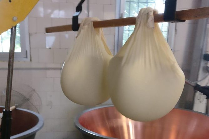 Tour Parmigiano Reggiano dairy and Parma ham - Price and Value: What You’re Really Paying For