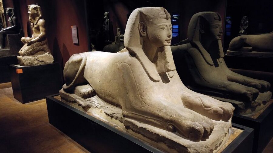 Turin: Guided Egyptian Museum Tour - A 2-hour route that actually teaches you something