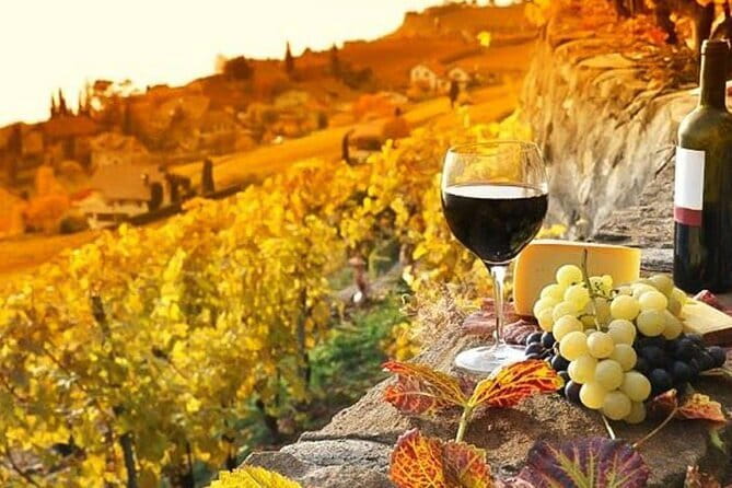 Tuscany Day Trip from Florence: Siena, San Gimignano, Pisa and Lunch at a Winery - The Chianti Winery Stop at Fattoria Poggio Alloro, Lunch With Views and Wine