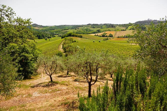 Tuscany Day Trip from Florence: Siena, San Gimignano, Pisa and Lunch at a Winery - Siena Cathedral and Piazza del Campo, Where the Art Has a Reason