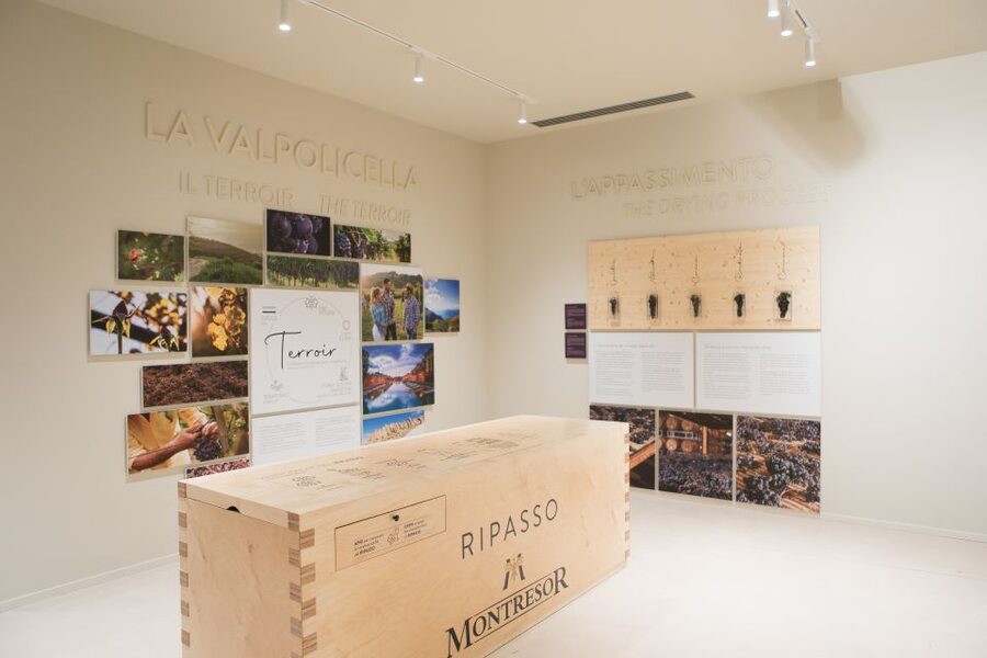 Verona: Montresor Winery Visit with Wine Tasting and Snacks - Valpolicella red tasting flight: Classico through Amarone styles