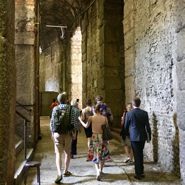 Verona: Priority Access Arena Guided Tour - Accessibility and who this tour fits best