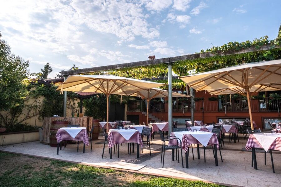 Verona: Wine Tasting with Snacks and Panoramic Views - The 30-minute vineyard and winery tour, what you actually see