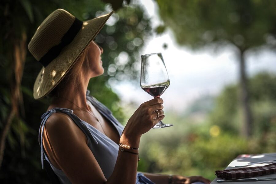 Verona: Wine Tasting with Snacks and Panoramic Views - The tasting terrace experience: 5 wines that map the Verona wine world