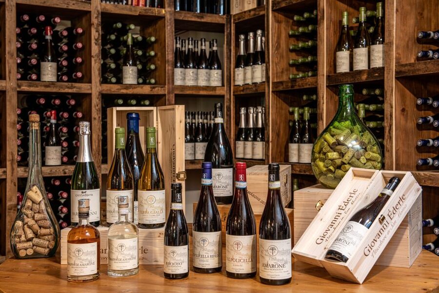 Verona: Wine Tasting with Snacks and Panoramic Views - Views from the villa garden and panoramic terrace (what to expect)