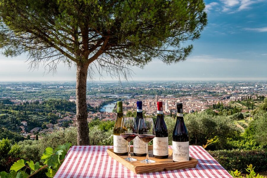 Verona: Wine Tasting with Snacks and Panoramic Views - Meeting points, timing, and getting there without stress