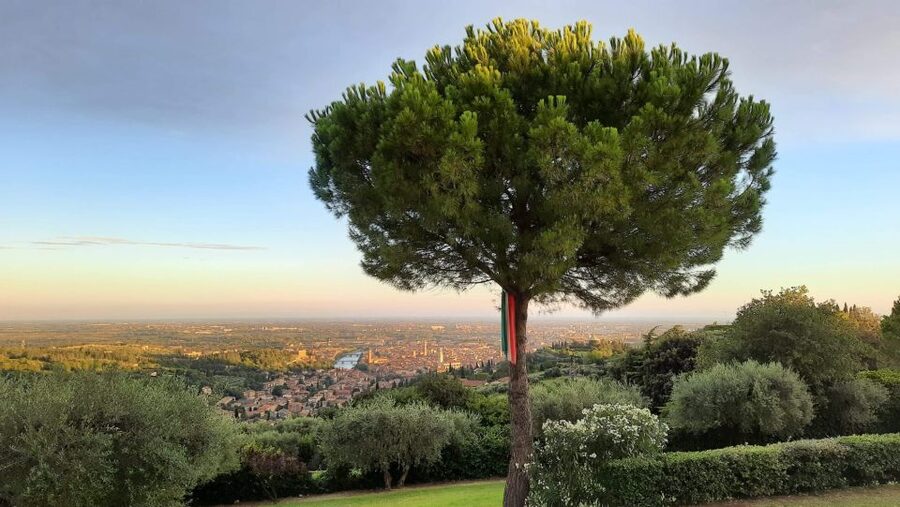 Verona: Wine Tasting with Snacks and Panoramic Views - When is the best time to book in Verona?