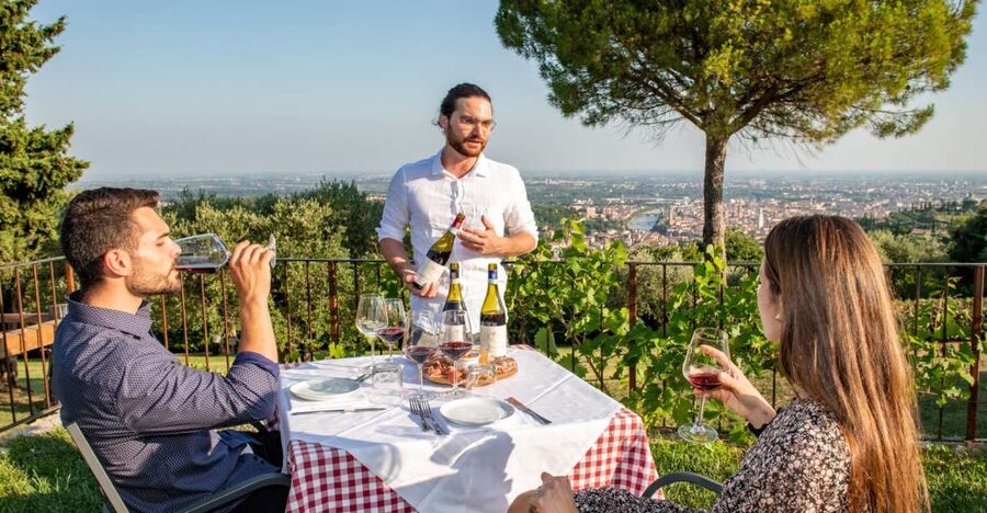 Verona: Wine Tasting with Snacks and Panoramic Views - How the 1.5-hour experience is paced (and why it matters)