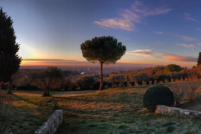 Wine Tasting with Panoramic View of Verona - Corte San Mattia: A Verona Winery Stop That Feels Like a Getaway
