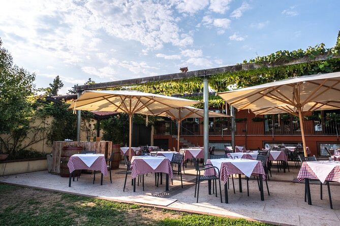 Wine Tasting with Panoramic View of Verona - Who This Is Best For in Verona